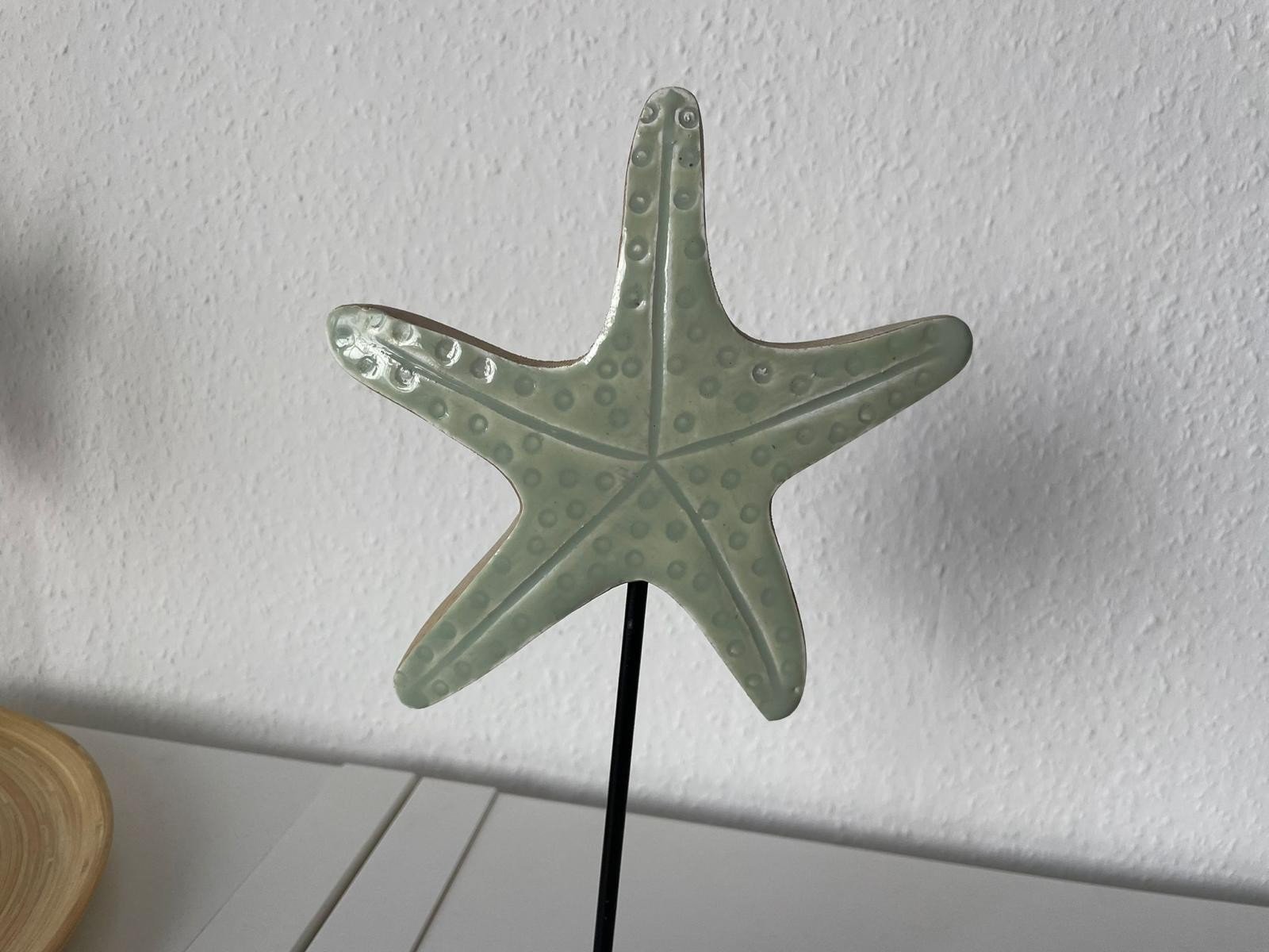 Küstenbude Seestern