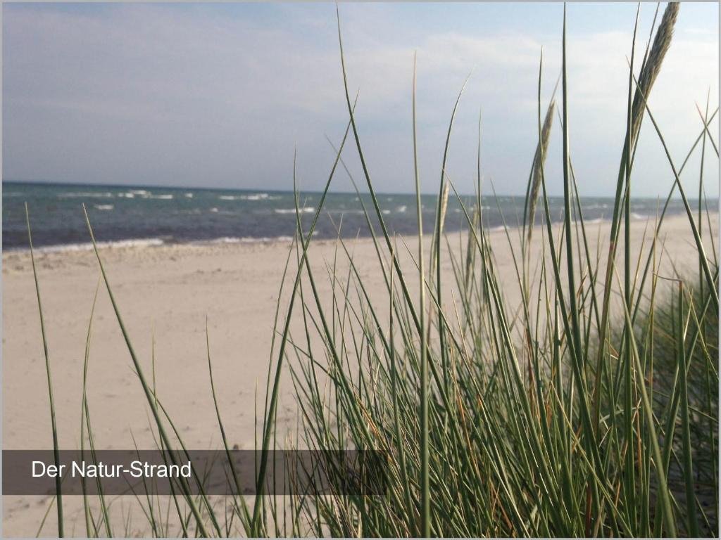 Küstenbude Strandmuschel