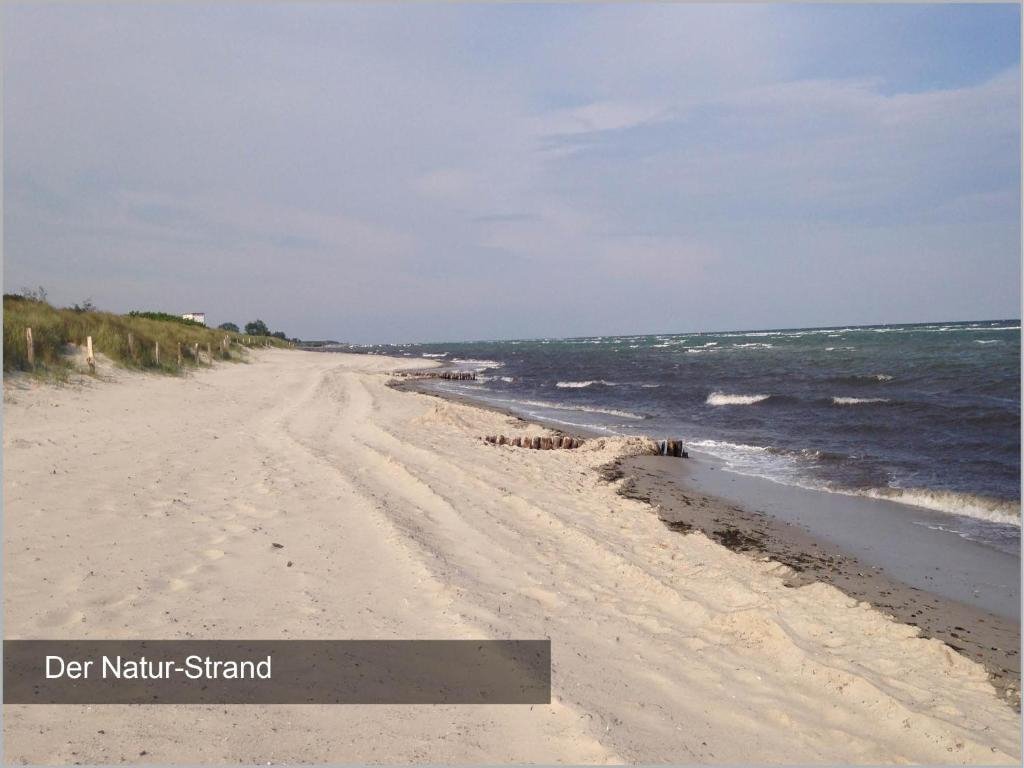 Küstenbude Strandmuschel