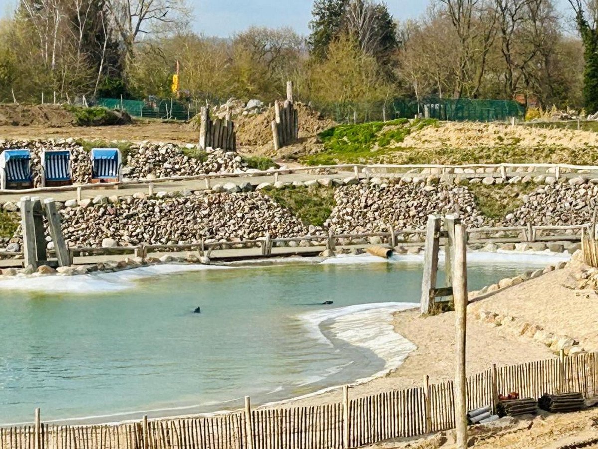 Küstenbude Seehundblick